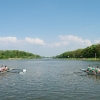 201205_Westelijke085 Panorama